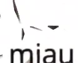 330x270