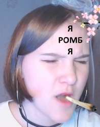 401x508