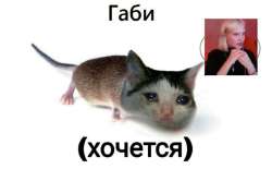1170x730