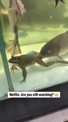 360x640