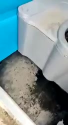 198x360