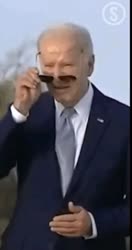 264x498