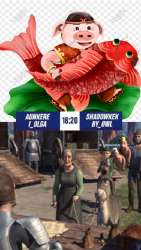 329x581