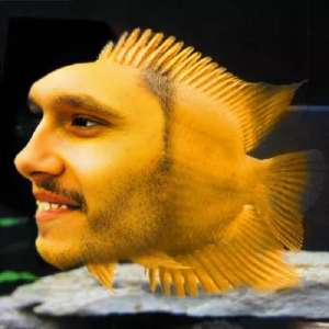 500x500