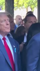 460x816