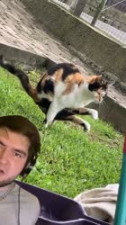 480x854