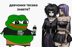1280x848