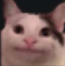 228x232