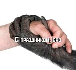 2053x1886