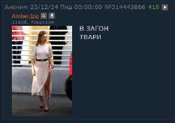 385x272