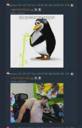 387x599