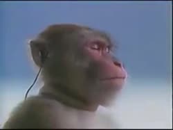 320x240