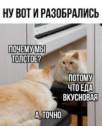 640x785