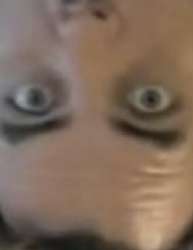 256x331