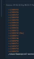 259x442