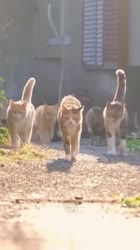 360x640