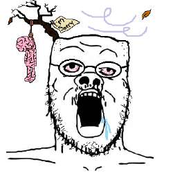 353x353