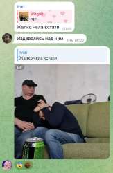 379x579