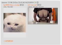 517x378