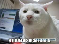 400x300