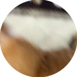 400x400