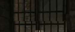 1078x461