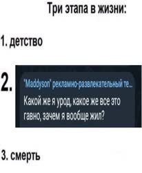 480x582