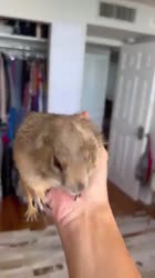 360x640