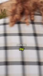 576x1024