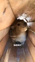 360x640
