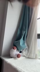 720x1280