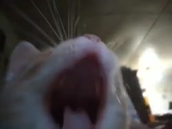 480x360