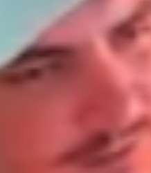 428x489
