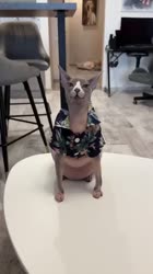 360x640
