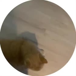 400x400