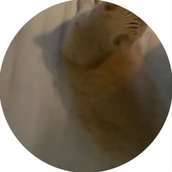400x400