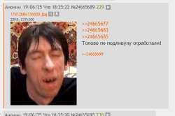 521x347