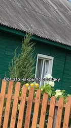 540x960