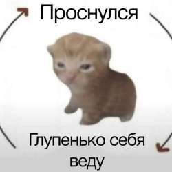 828x826