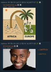 491x701