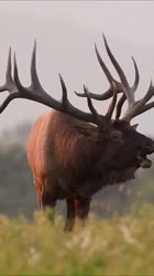 360x640