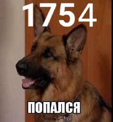 328x354