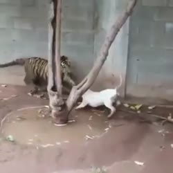 360x360