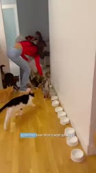 360x640