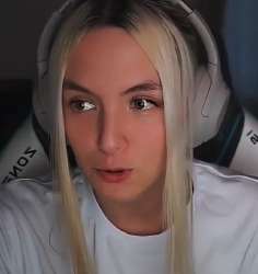 557x588