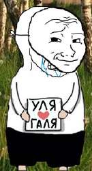 232x429