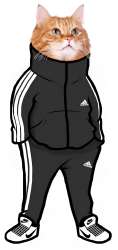 900x1900