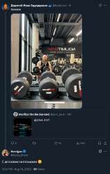 531x838