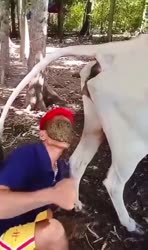 368x618