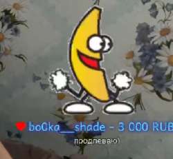 336x311
